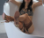 Domme Mistress Catherine Liberale#1 Mistress Catherine Liberale#0