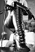 Mistress Montana#0