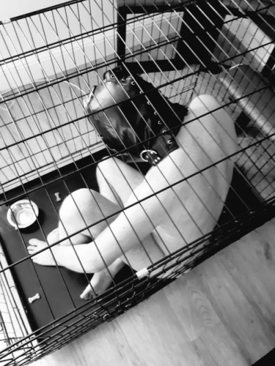Mistress Curve Mistress Curve