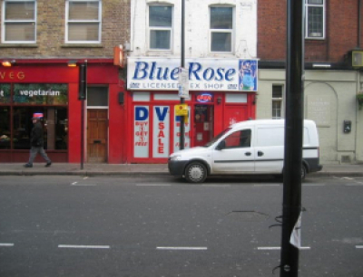 Blue Rose Blue Rose