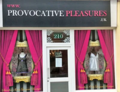 Provocative Pleasures